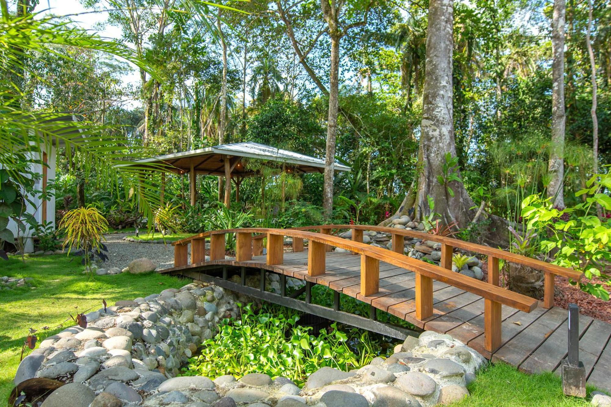 Dragonfly Beachfront Villas-Adult Only Punta Uva Zewnętrze zdjęcie
