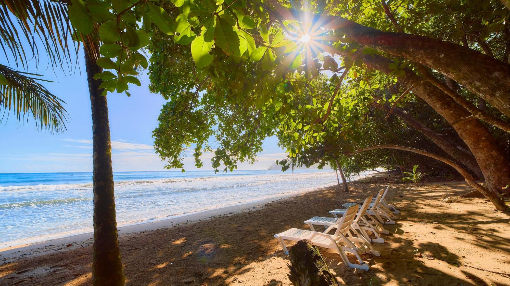 Dragonfly Beachfront Villas-Adult Only Punta Uva Zewnętrze zdjęcie