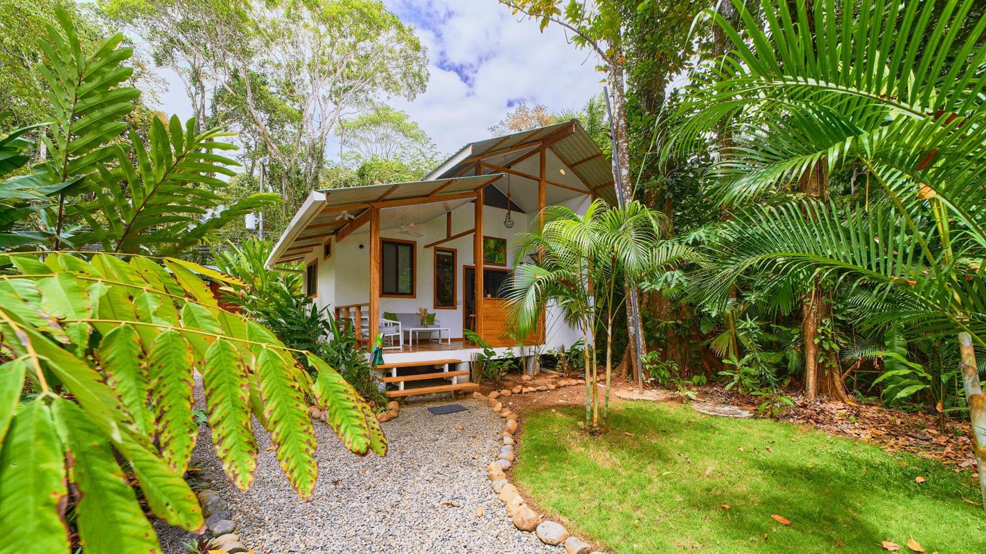 Dragonfly Beachfront Villas-Adult Only Punta Uva Zewnętrze zdjęcie