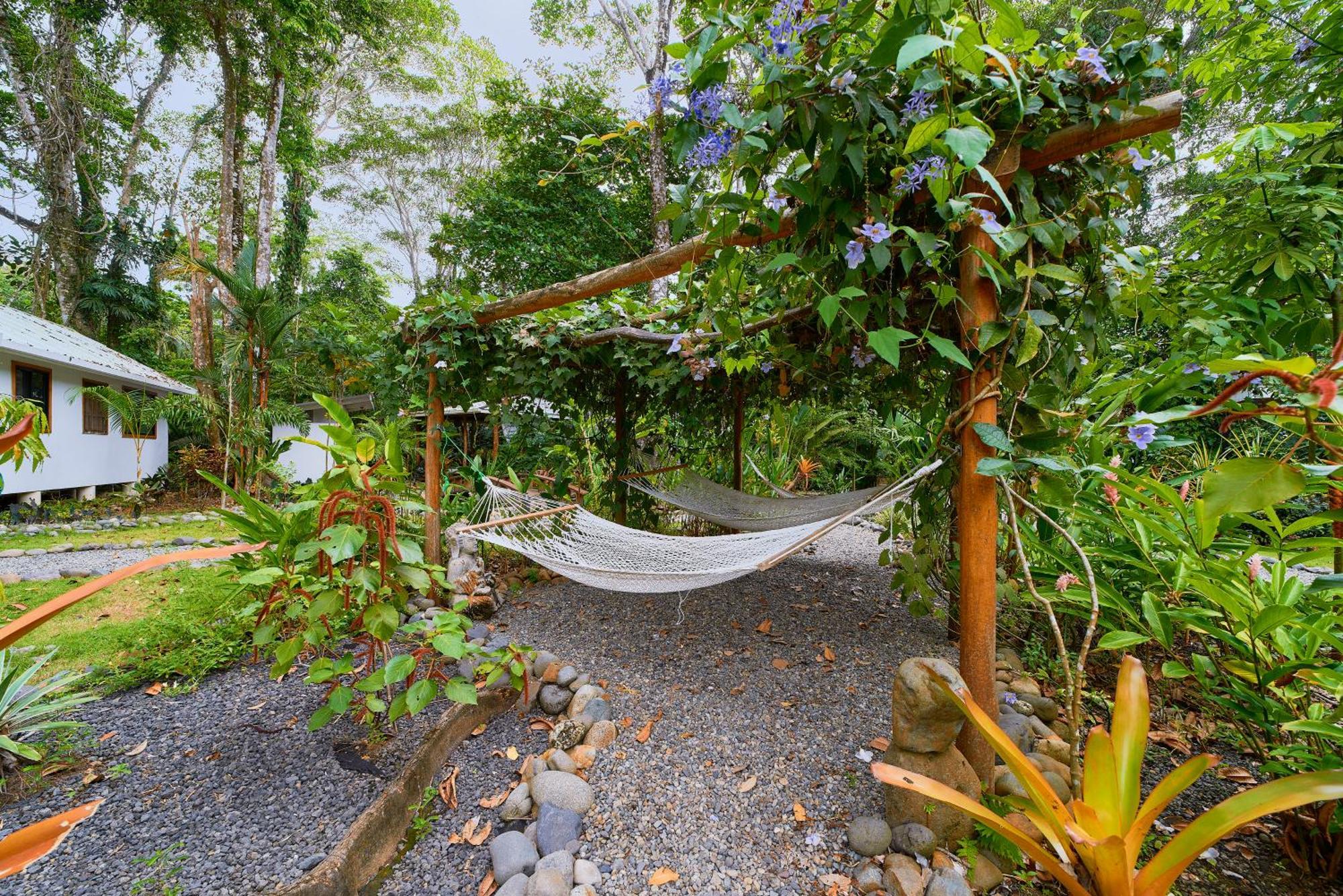 Dragonfly Beachfront Villas-Adult Only Punta Uva Zewnętrze zdjęcie